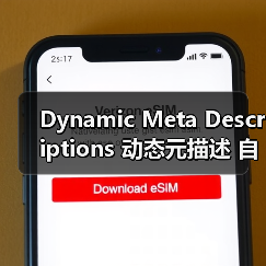 Dynamic Meta Descriptions 动态元描述 自动生成 吸引点击