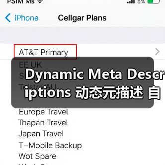 Dynamic Meta Descriptions 动态元描述 自动生成 吸引点击