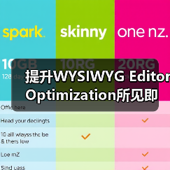 提升WYSIWYG Editor Optimization所见即所得编辑器优化 SEO功能的秘密（图2）