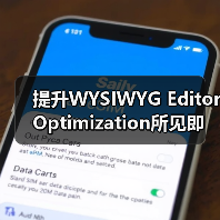 提升WYSIWYG Editor Optimization所见即所得编辑器优化 SEO功能的秘密（图1）