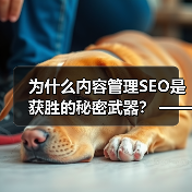 为什么内容管理SEO是获胜的秘密武器？ —— 深度解析如何打造SEO友好的内容策略（图1）