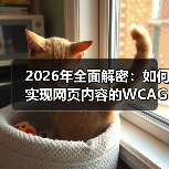 2026年全面解密：如何实现网页内容的WCAG合规标准（图1）