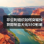 非营利组织如何突破预算限制最大化SEO影响力（图3）