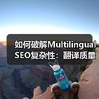 如何破解Multilingual SEO复杂性：翻译质量与本地化的秘密武器（图3）