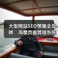 大型网站SEO策略全攻略：海量页面管理系统的秘密武器（图4）