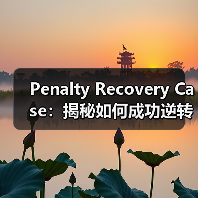 Penalty Recovery Case：揭秘如何成功逆转人工处罚并重新收录（图4）