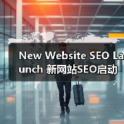 New Website SEO Launch 新网站SEO启动 从零开始 快速成长（图1）