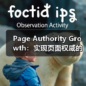 Page Authority Growth：实现页面权威的突破之路（图3）