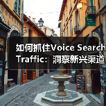 如何抓住Voice Search Traffic：洞察新兴渠道的趋势适应之道（图2）