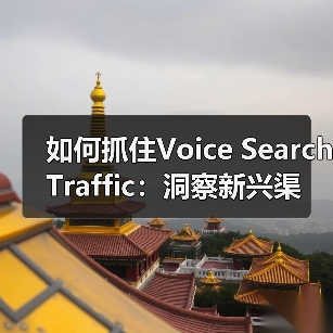 如何抓住Voice Search Traffic：洞察新兴渠道的趋势适应之道（图3）