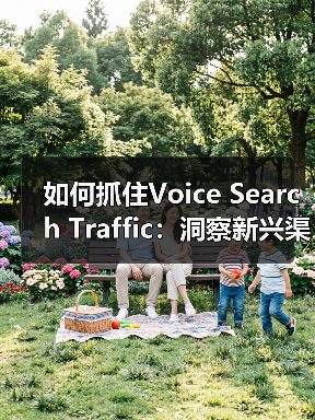 如何抓住Voice Search Traffic：洞察新兴渠道的趋势适应之道（图4）