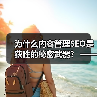 为什么内容管理SEO是获胜的秘密武器？ —— 深度解析如何打造SEO友好的内容策略（图2）