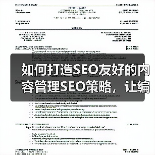 如何打造SEO友好的内容管理SEO策略，让编辑工具助你一臂之力（图1）
