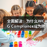 全面解读：为什么WCAG Compliance成为网页内容必不可少的标准（图2）