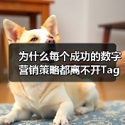 为什么每个成功的数字营销策略都离不开Tag Manager Setup？这不是一句空话，而是经过无数实操验证的真理。标签管理器设置、代码管理、事件跟踪，这些词汇（图3）