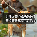 为什么每个成功的数字营销策略都离不开Tag Manager Setup？这不是一句空话，而是经过无数实操验证的真理。标签管理器设置、代码管理、事件跟踪，这些词汇（图2）