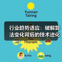 行业趋势适应：破解算法变化背后的技术进化之道（图4）
