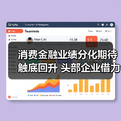 消费金融业绩分化期待触底回升 头部企业借力政策东风稳健发展（图4）