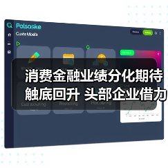 消费金融业绩分化期待触底回升 头部企业借力政策东风稳健发展（图3）