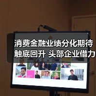 消费金融业绩分化期待触底回升 头部企业借力政策东风稳健发展（图2）