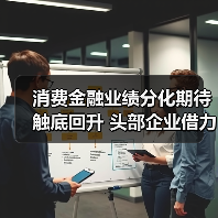 消费金融业绩分化期待触底回升 头部企业借力政策东风稳健发展（图1）