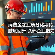 消费金融业绩分化期待触底回升 头部企业借力政策东风稳健发展（图2）