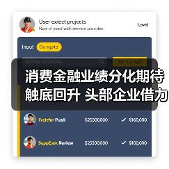 消费金融业绩分化期待触底回升 头部企业借力政策东风稳健发展（图4）