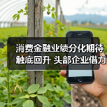 消费金融业绩分化期待触底回升 头部企业借力政策东风稳健发展（图3）