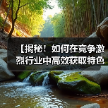 【揭秘！如何在竞争激烈行业中高效获取特色图片提升搜索排名】（图2）