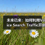 未来已来：如何利用Voice Search Traffic开启新兴渠道的成功密码（图1）