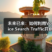 未来已来：如何利用Voice Search Traffic开启新兴渠道的成功密码（图2）
