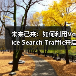 未来已来：如何利用Voice Search Traffic开启新兴渠道的成功密码（图4）