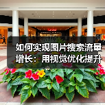 如何实现图片搜索流量增长：用视觉优化提升点击率的秘密（图3）