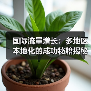国际流量增长：多地区本地化的成功秘籍揭秘（图2）