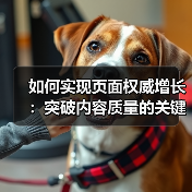 如何实现页面权威增长：突破内容质量的关键策略（图2）