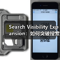 Search Visibility Expansion：如何突破搜索展示天花板（图1）