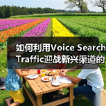 如何利用Voice Search Traffic迎战新兴渠道的未来趋势（图2）