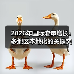 2026年国际流量增长：多地区本地化的关键突破策略（图4）