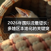 2026年国际流量增长：多地区本地化的关键突破策略（图3）