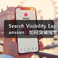 Search Visibility Expansion：如何突破搜索展示天花板（图4）