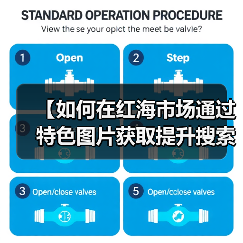 【如何在红海市场通过特色图片获取提升搜索排名？揭秘行业差异化战略】（图2）