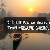 如何利用Voice Search Traffic迎战新兴渠道的未来趋势（图1）
