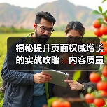 揭秘提升页面权威增长的实战攻略：内容质量决定排名能力（图1）