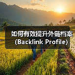 如何有效提升外链档案（Backlink Profile）质量和数量（图1）
