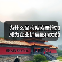 为什么品牌搜索量增加成为企业扩展影响力的秘密武器？（图1）