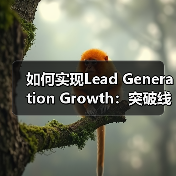 如何实现Lead Generation Growth：突破线索生成增长的迷局（图2）