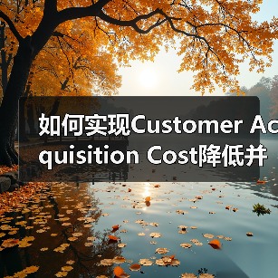如何实现Customer Acquisition Cost降低并提升客户获取效率（图4）