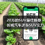 20万的SUV最佳推荐：长城汽车这些SUV实力碾压同级（图1）