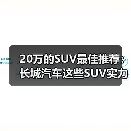 20万的SUV最佳推荐：长城汽车这些SUV实力碾压同级（图3）