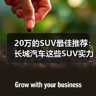 20万的SUV最佳推荐：长城汽车这些SUV实力碾压同级（图4）